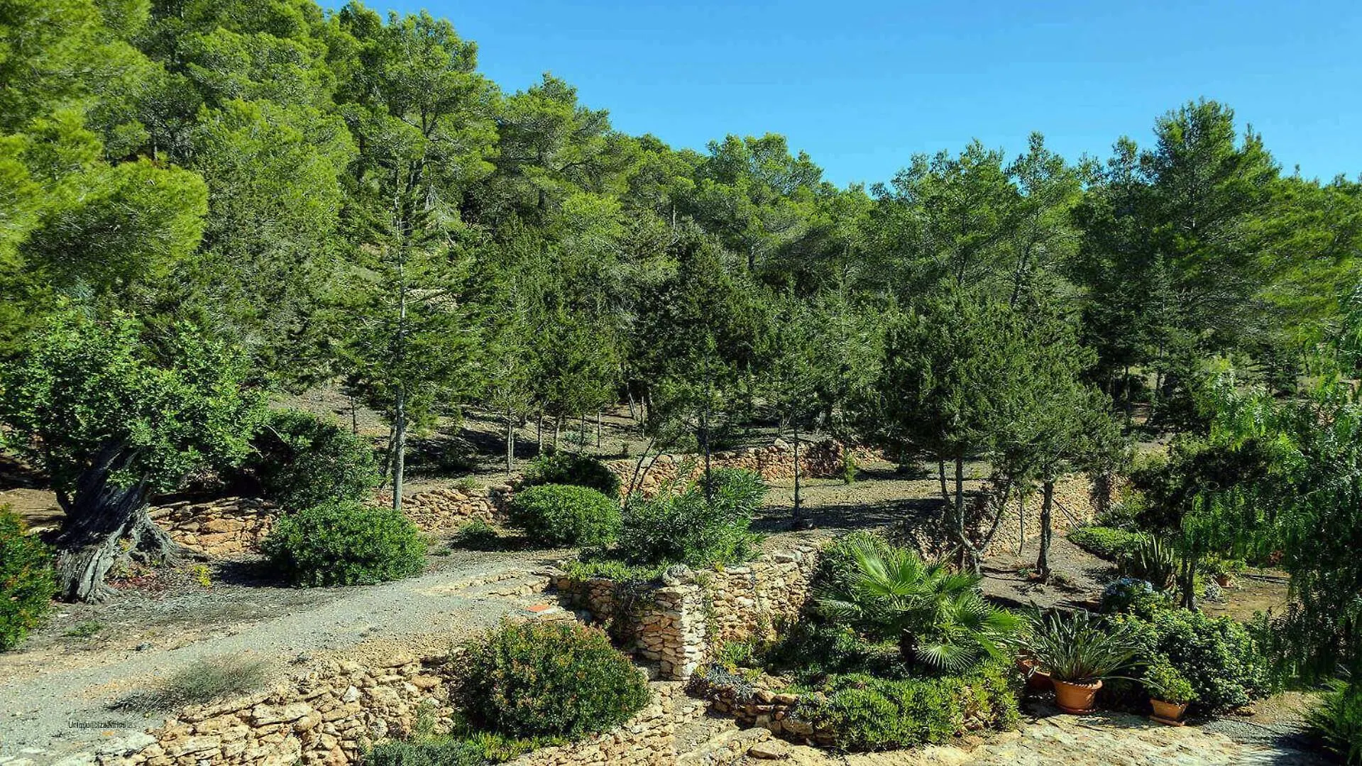 New! Villa Can Guillem San Carlos 0*,  스페인